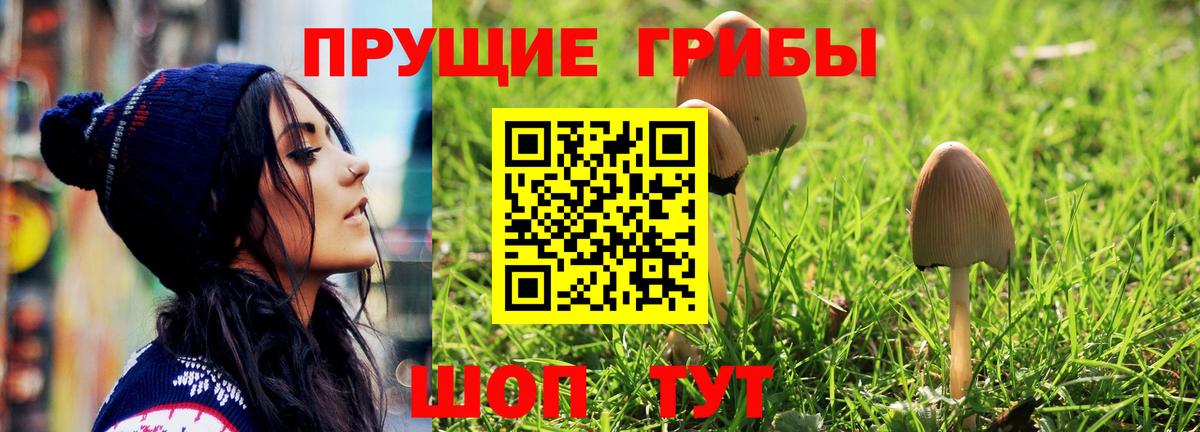 Мегион  Галлюциногенные грибы Psilocybe  Вход с VPN 